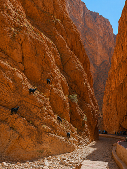 Entre paredes imponentes que parecen tocar el cielo, las Gargantas del Todra sorprenden a cada paso. Un espectacular cañón esculpido por el paso del tiempo, donde la inmensidad de la roca nos hace sentir pequeños ante la fuerza de la naturaleza.