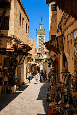 De norte a sur, los minaretes acompañan nuestro camino por Marruecos, asomando entre tejados, medinas y pequeños pueblos como parte inseparable de su paisaje y su identidad, nos recuerda a cada paso la profunda tradición del país.