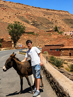 Un amigo en el camino